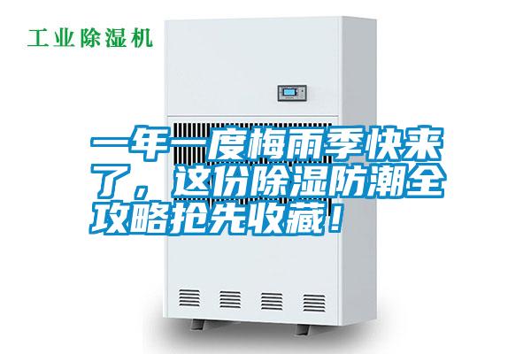一年一度梅雨季快來了，這份除濕防潮全攻略搶先收藏！