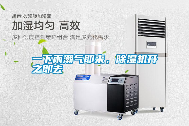一下雨潮氣即來，除濕機開之即去