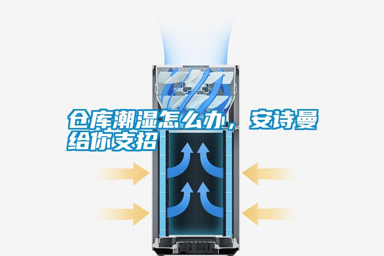 倉(cāng)庫(kù)潮濕怎么辦，安詩(shī)曼給你支招