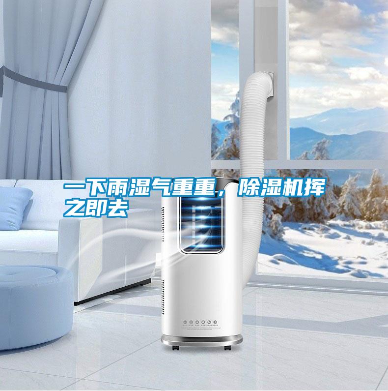 一下雨濕氣重重，除濕機揮之即去