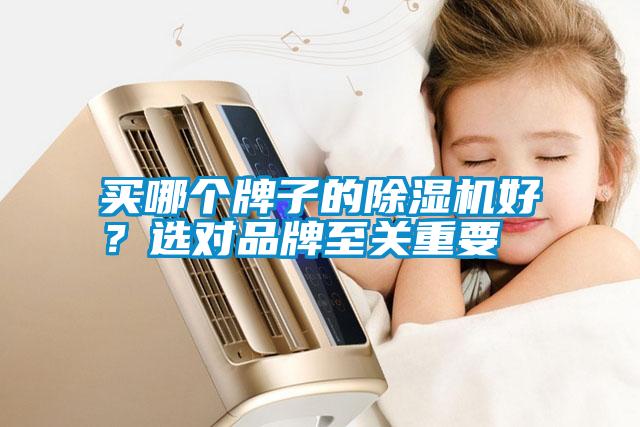 買哪個(gè)牌子的除濕機(jī)好？選對品牌至關(guān)重要