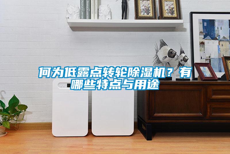何為低露點轉輪除濕機？有哪些特點與用途
