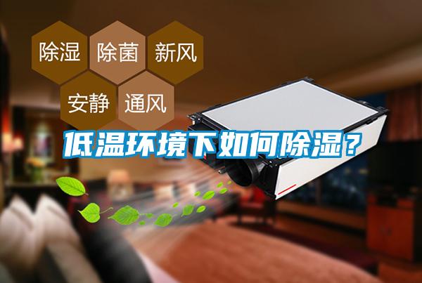 低溫環(huán)境下如何除濕？