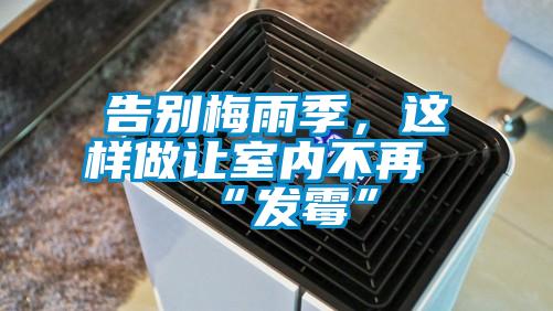 告別梅雨季，這樣做讓室內不再“發霉”