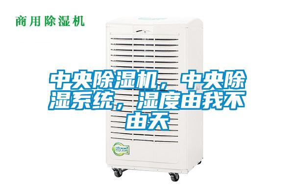 中央除濕機(jī)，中央除濕系統(tǒng)，濕度由我不由天