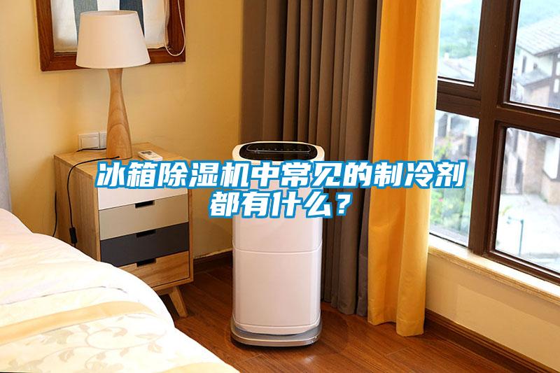冰箱除濕機(jī)中常見(jiàn)的制冷劑都有什么？