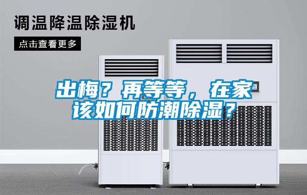 出梅？再等等，在家該如何防潮除濕？