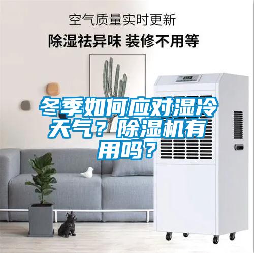 冬季如何應對濕冷天氣？除濕機有用嗎？