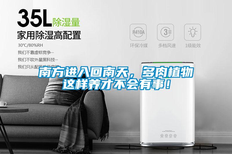 南方進入回南天，多肉植物這樣養(yǎng)才不會有事！