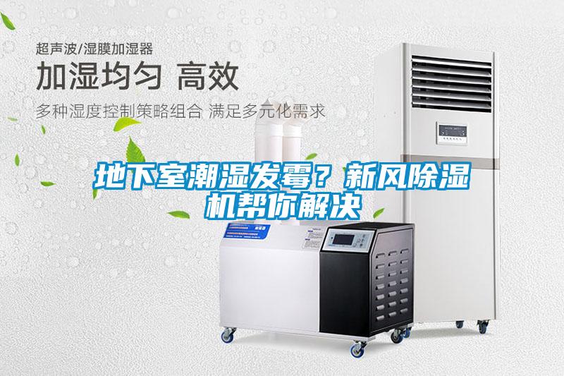 地下室潮濕發(fā)霉？新風(fēng)除濕機幫你解決