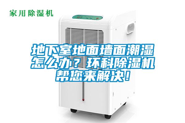地下室地面墻面潮濕怎么辦?環(huán)科除濕機幫您來解決!