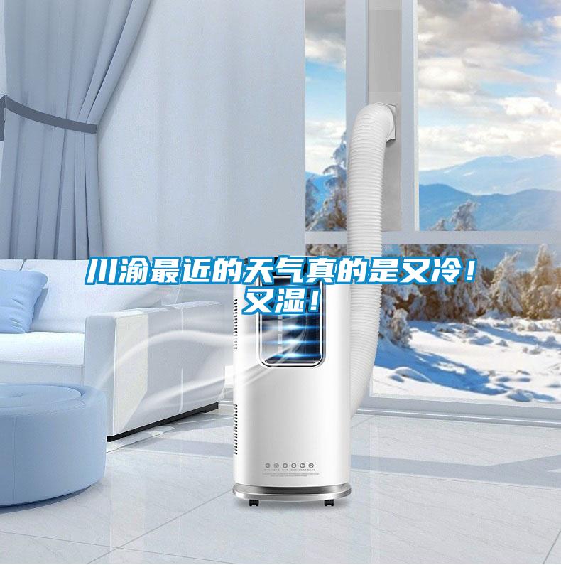 川渝最近的天氣真的是又冷！又濕！