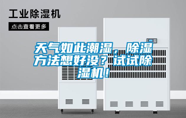天氣如此潮濕，除濕方法想好沒？試試除濕機！