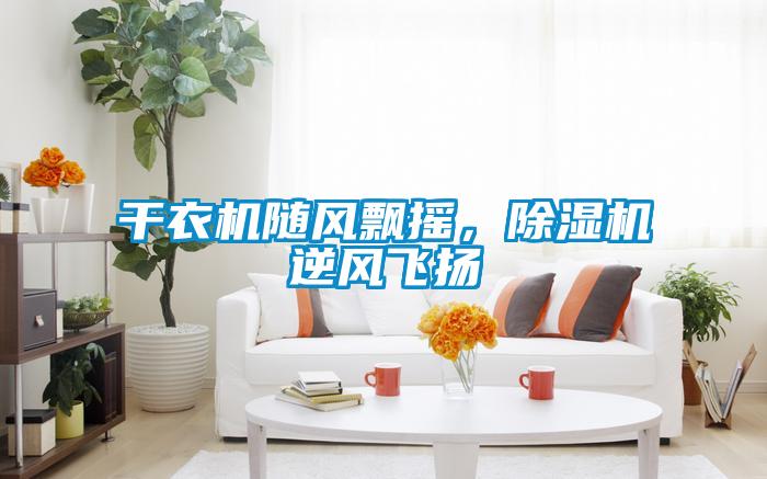 干衣機隨風(fēng)飄搖，除濕機逆風(fēng)飛揚