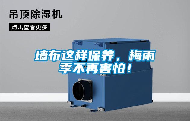 墻布這樣保養(yǎng)，梅雨季不再害怕！