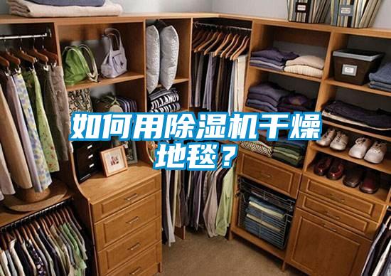 如何用除濕機干燥地毯？