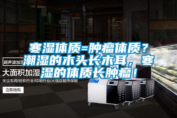 寒濕體質=腫瘤體質？潮濕的木頭長木耳，寒濕的體質長腫瘤！