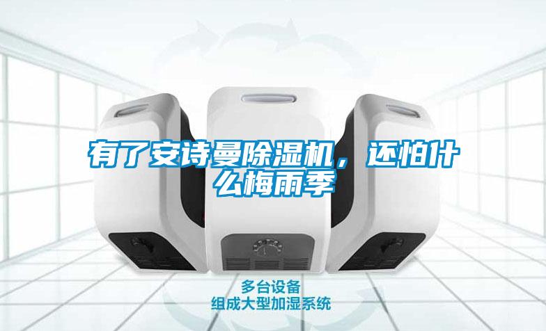 有了安詩曼除濕機，還怕什么梅雨季