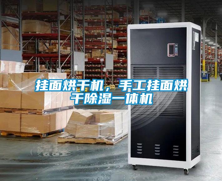 掛面烘干機，手工掛面烘干除濕一體機