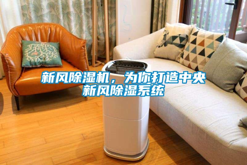 新風除濕機，為你打造中央新風除濕系統(tǒng)