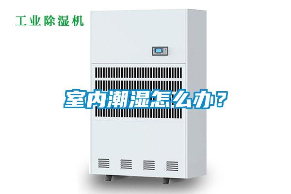 室內潮濕怎么辦？