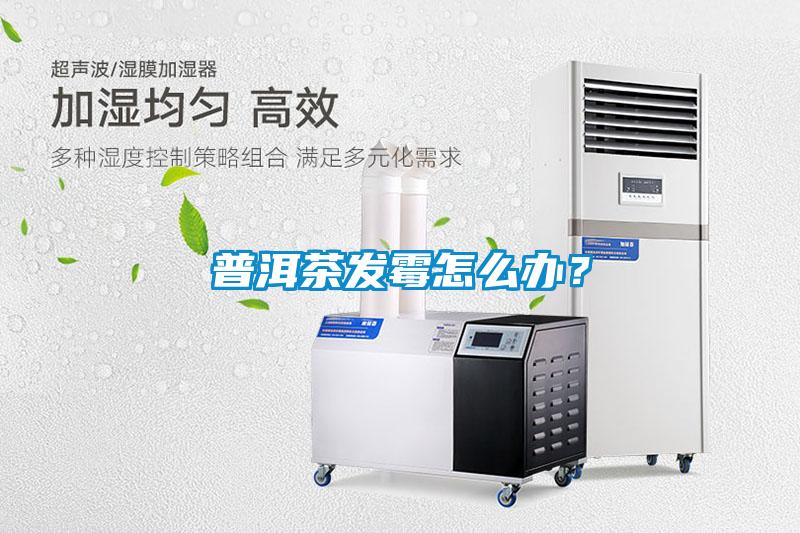 普洱茶發霉怎么辦？