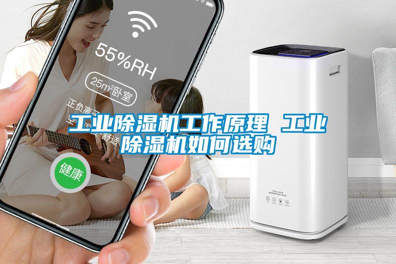 工業(yè)除濕機(jī)工作原理 工業(yè)除濕機(jī)如何選購