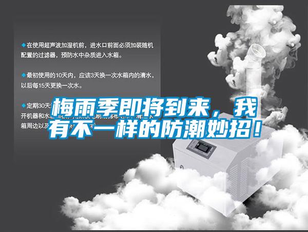梅雨季即將到來，我有不一樣的防潮妙招！