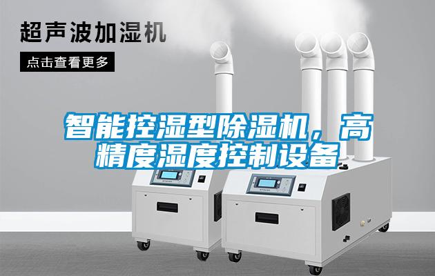 智能控濕型除濕機(jī)，高精度濕度控制設(shè)備