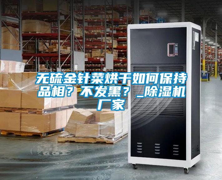 無硫金針菜烘干如何保持品相？不發(fā)黑？_除濕機(jī)廠家