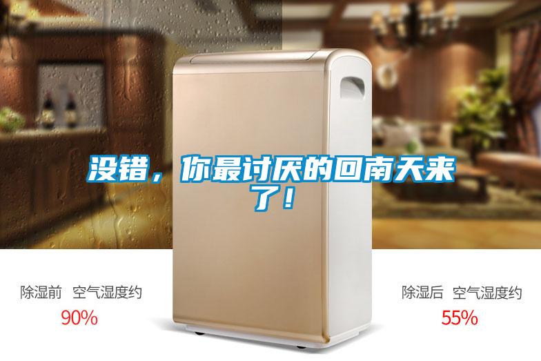 沒錯，你最討厭的回南天來了！