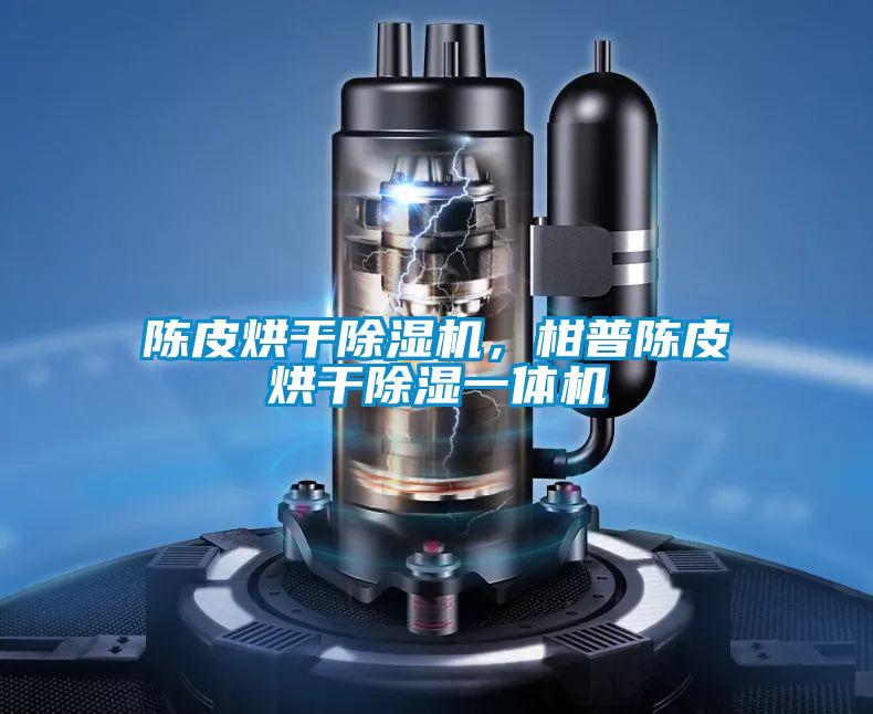 陳皮烘干除濕機，柑普陳皮烘干除濕一體機