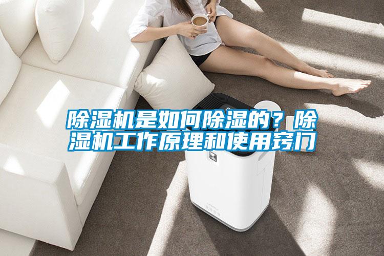 除濕機(jī)是如何除濕的？除濕機(jī)工作原理和使用竅門