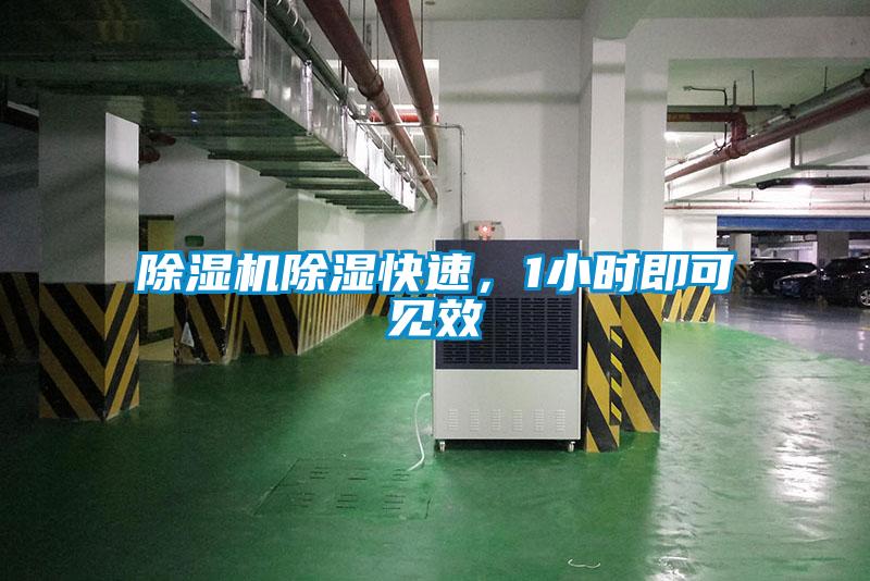 除濕機(jī)除濕快速，1小時(shí)即可見效