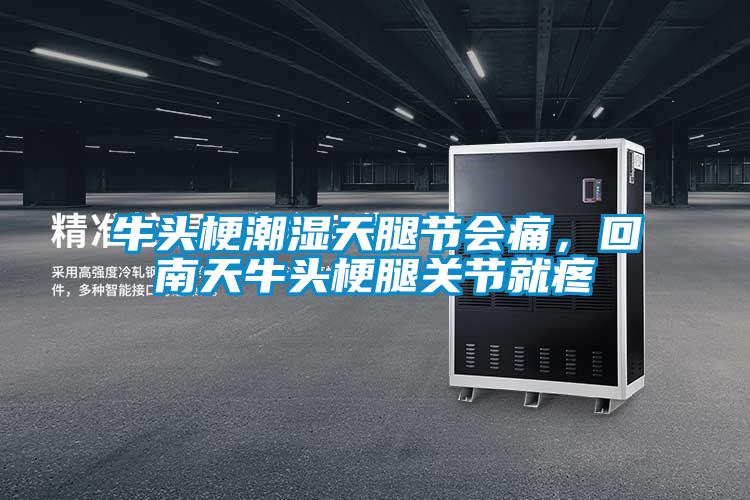 牛頭梗潮濕天腿節(jié)會痛，回南天牛頭梗腿關節(jié)就疼