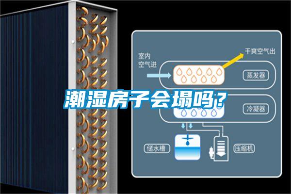 潮濕房子會塌嗎？