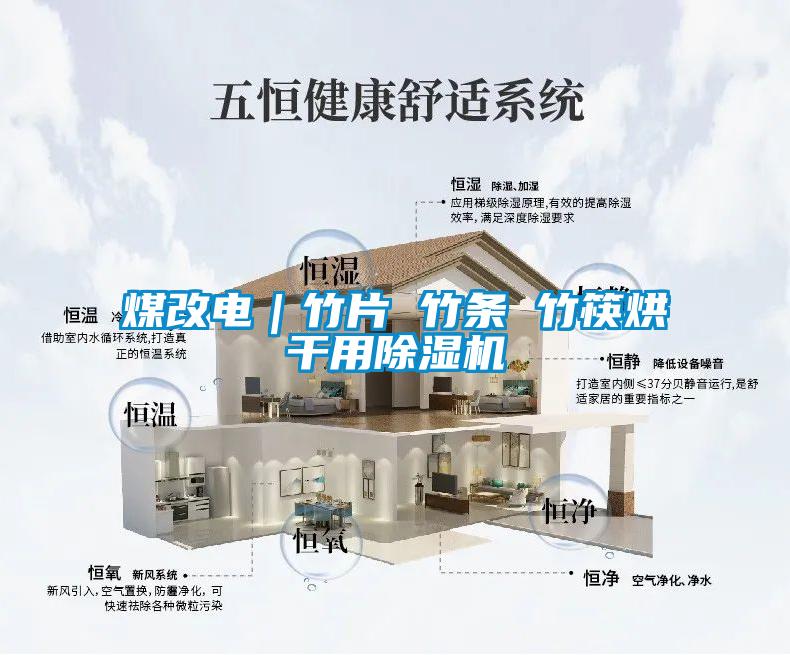 煤改電｜竹片 竹條 竹筷烘干用除濕機(jī)