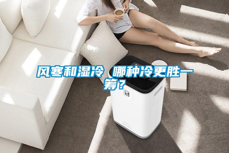 風(fēng)寒和濕冷 哪種冷更勝一籌？