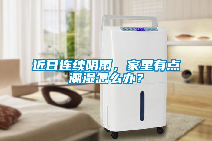 近日連續(xù)陰雨，家里有點潮濕怎么辦？
