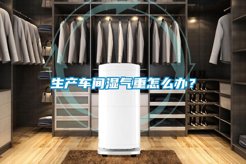 生產車間濕氣重怎么辦？