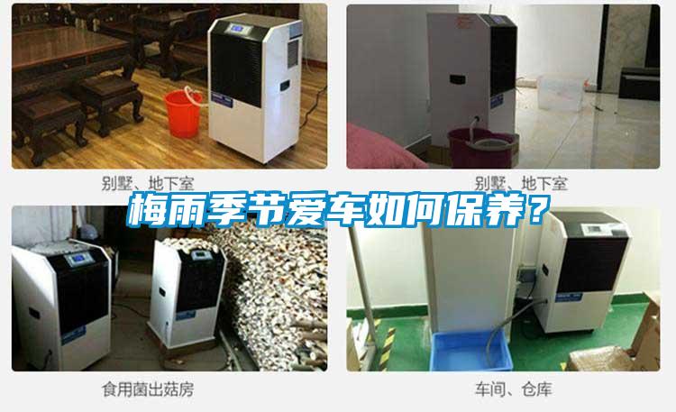 梅雨季節愛車如何保養？