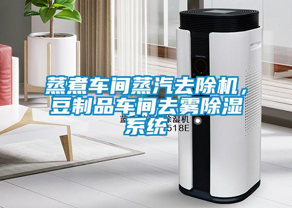 蒸煮車間蒸汽去除機，豆制品車間去霧除濕系統