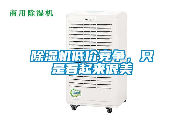 除濕機(jī)低價(jià)競爭，只是看起來很美
