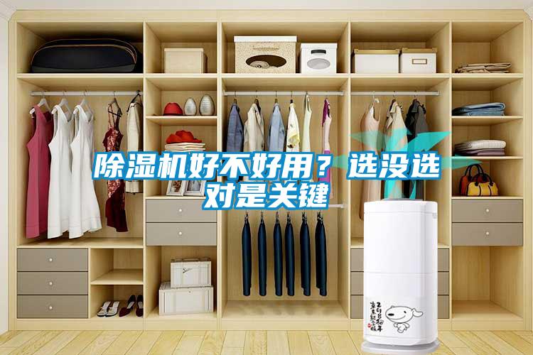 除濕機好不好用？選沒選對是關鍵