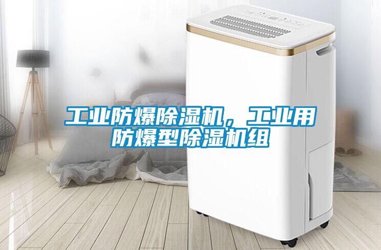 工業(yè)防爆除濕機，工業(yè)用防爆型除濕機組