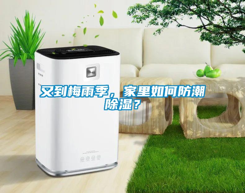 又到梅雨季，家里如何防潮除濕？