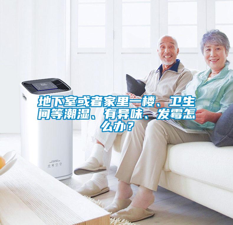 地下室或者家里一樓、衛生間等潮濕、有異味、發霉怎么辦？