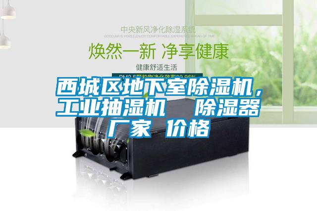 西城區(qū)地下室除濕機(jī)，工業(yè)抽濕機(jī)  除濕器廠家 價格