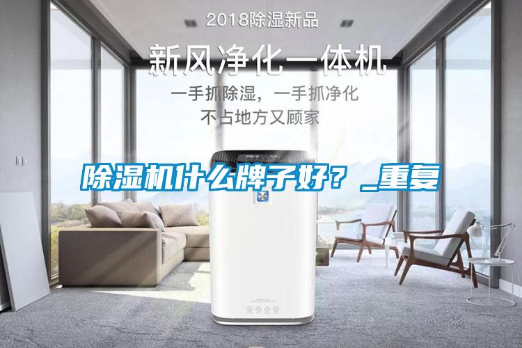 除濕機什么牌子好？_重復