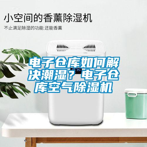 電子倉庫如何解決潮濕？電子倉庫空氣除濕機(jī)